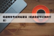 昭通哪有专业网站建设（昭通目前可以做的行业）