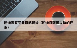 昭通哪有专业网站建设（昭通目前可以做的行业）