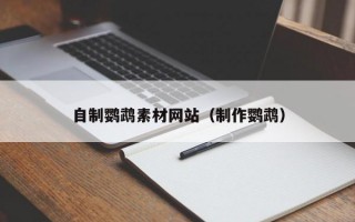 自制鹦鹉素材网站（制作鹦鹉）