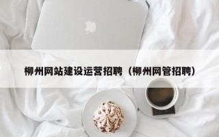 柳州网站建设运营招聘（柳州网管招聘）