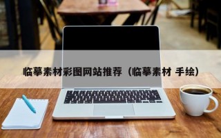 临摹素材彩图网站推荐（临摹素材 手绘）